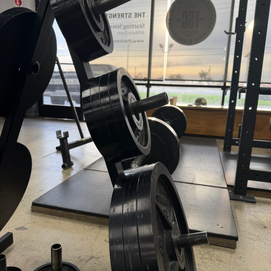 Equipment area at The Strength Co.